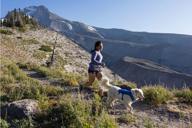 Ruffwear Trail Runner Running Belt Blue Pool-10